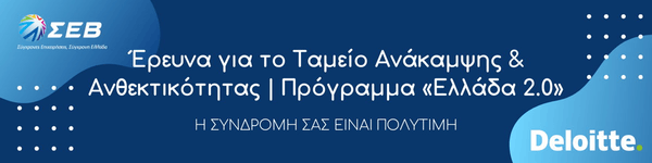 sev deloitte questionnaire